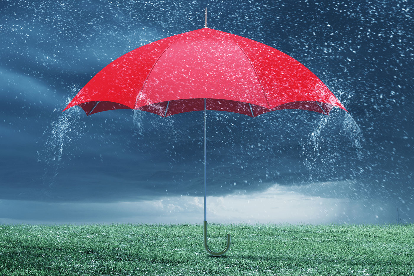 umbrella upright on grass in rain